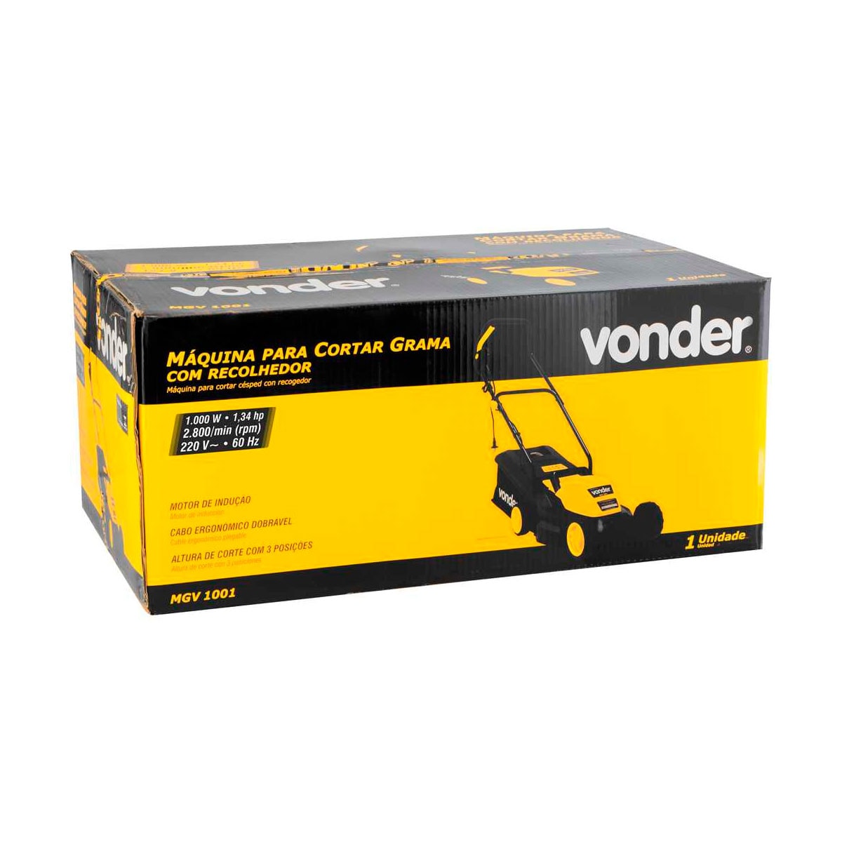 image_f1d7acf5-c35d-459b-9454-df0f946f30d3