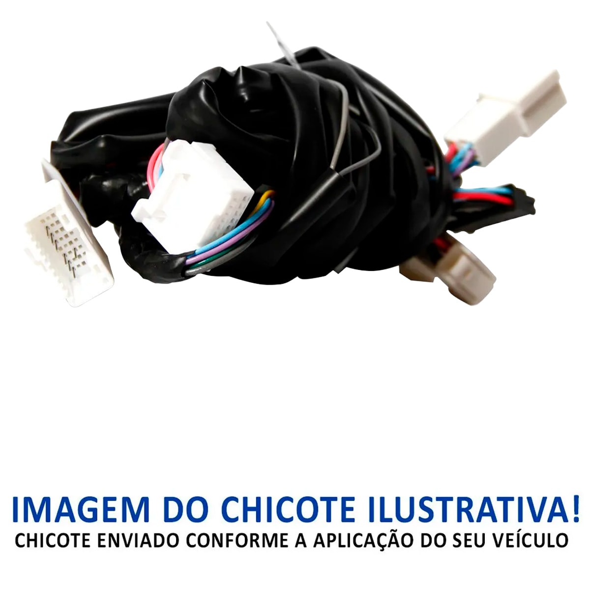 image_c6b2cde5-77a4-4d58-9389-1b8bbface845