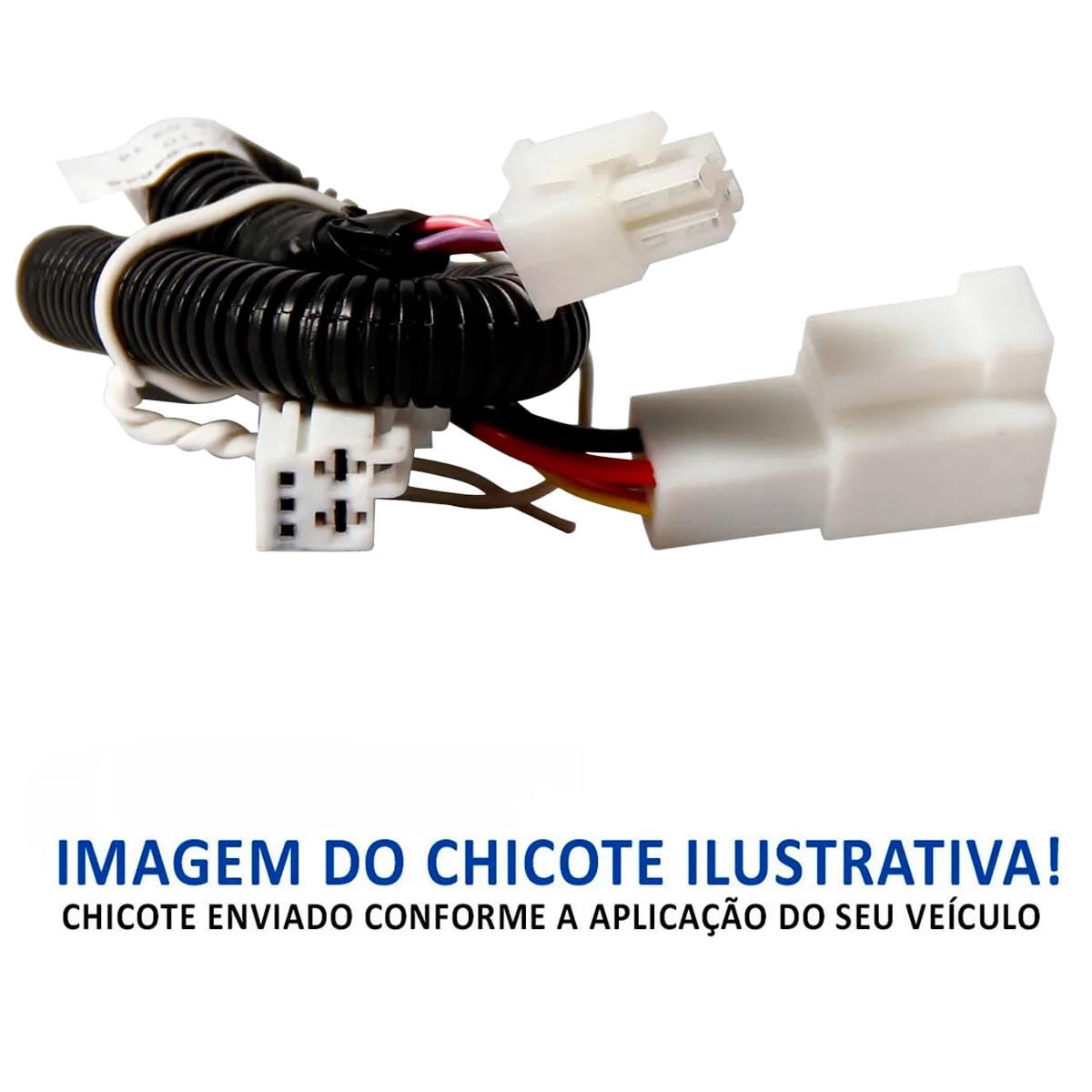 image_e66db59e-2dbc-44bd-a760-8bf64e6eadab