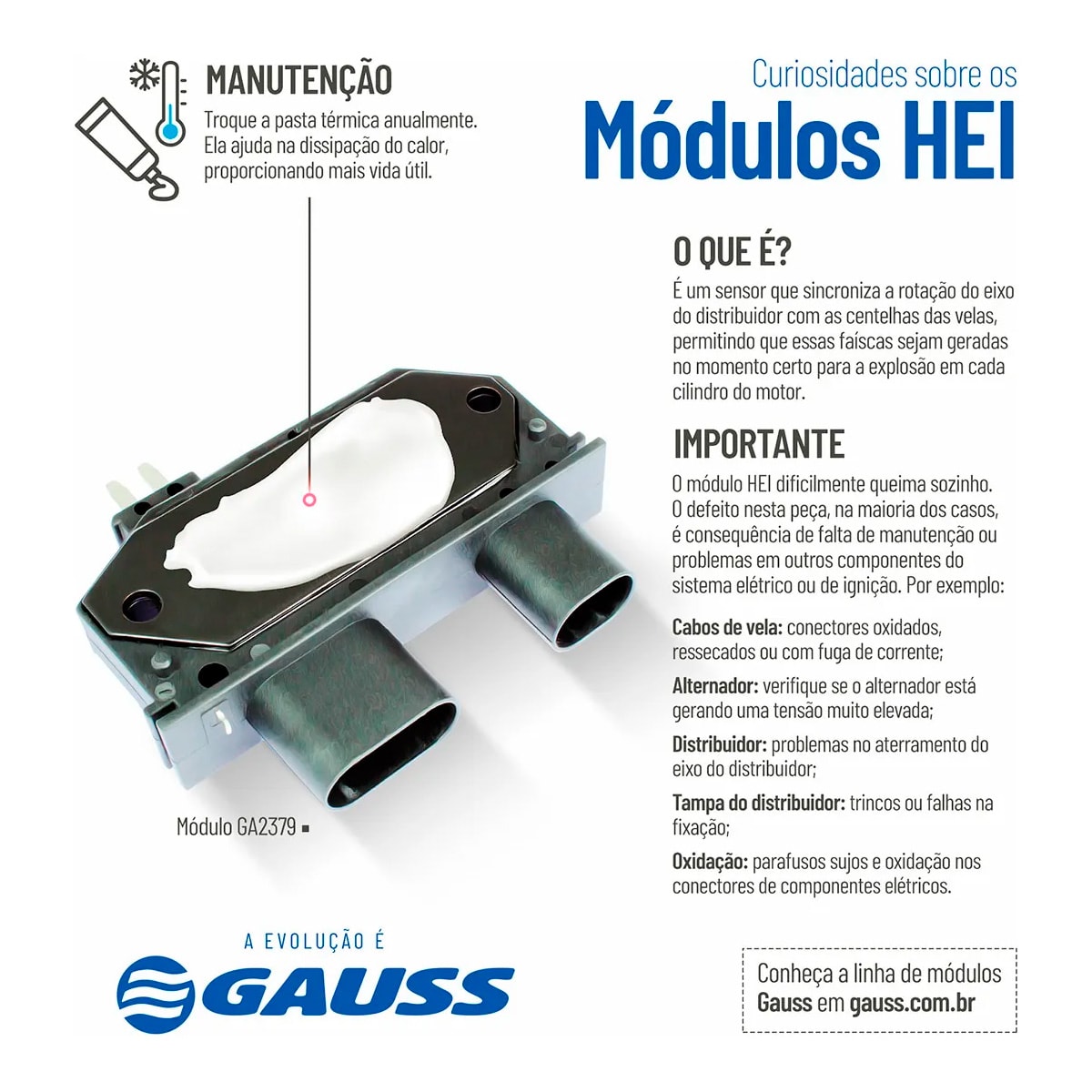 image_58ecfabb-c692-4ef3-a455-c6396d93a081