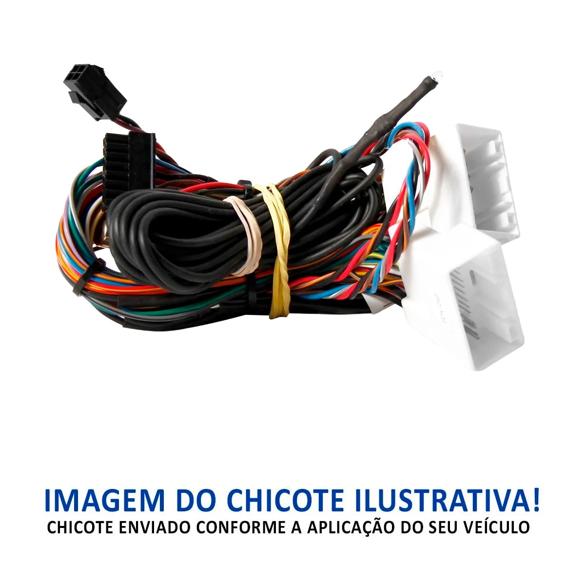 image_1d0b7738-f4ea-438d-bcb0-6badbbf34bf8