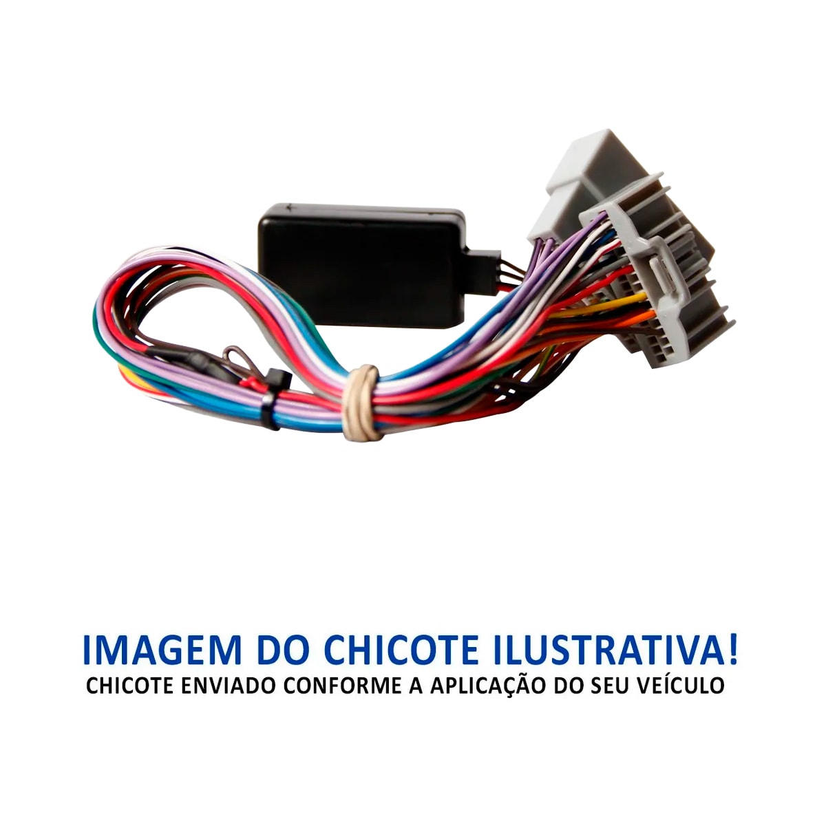 image_da3a2542-777b-4cdc-a190-df7a649dca4c