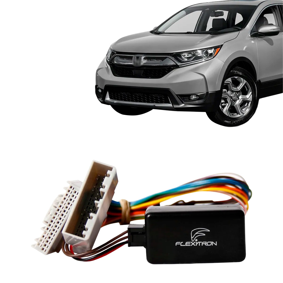 image_3637a2d1-4732-4973-ba31-285f7b379f1c