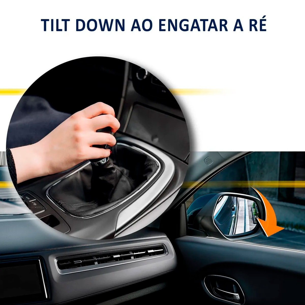 image_538d1f98-52b1-47d8-8533-a94009a55c5c