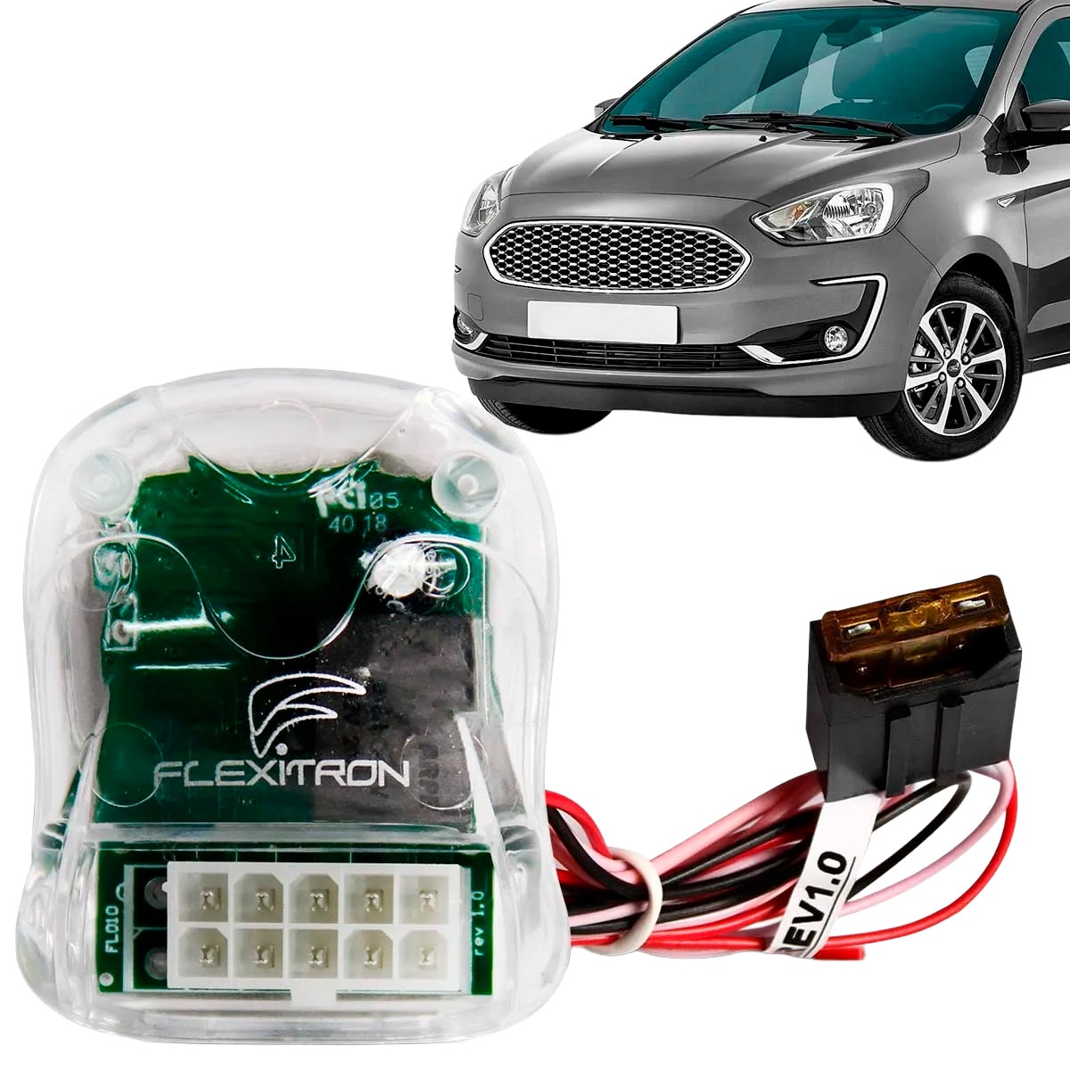 image_442ff281-3011-495f-934c-194bc8f0fbc1