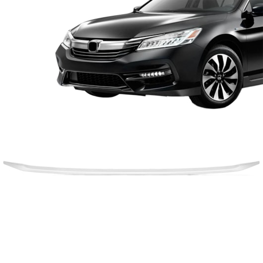 image_731a221b-83e7-4381-9dc2-2e9ae72a141e