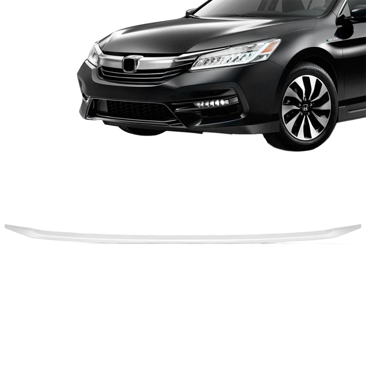 image_9690c77e-c5e7-4a39-a259-c7d4bee9213c