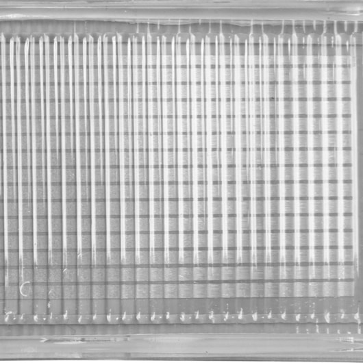 image_64b0d09d-189d-4411-8353-4edea5098ea7