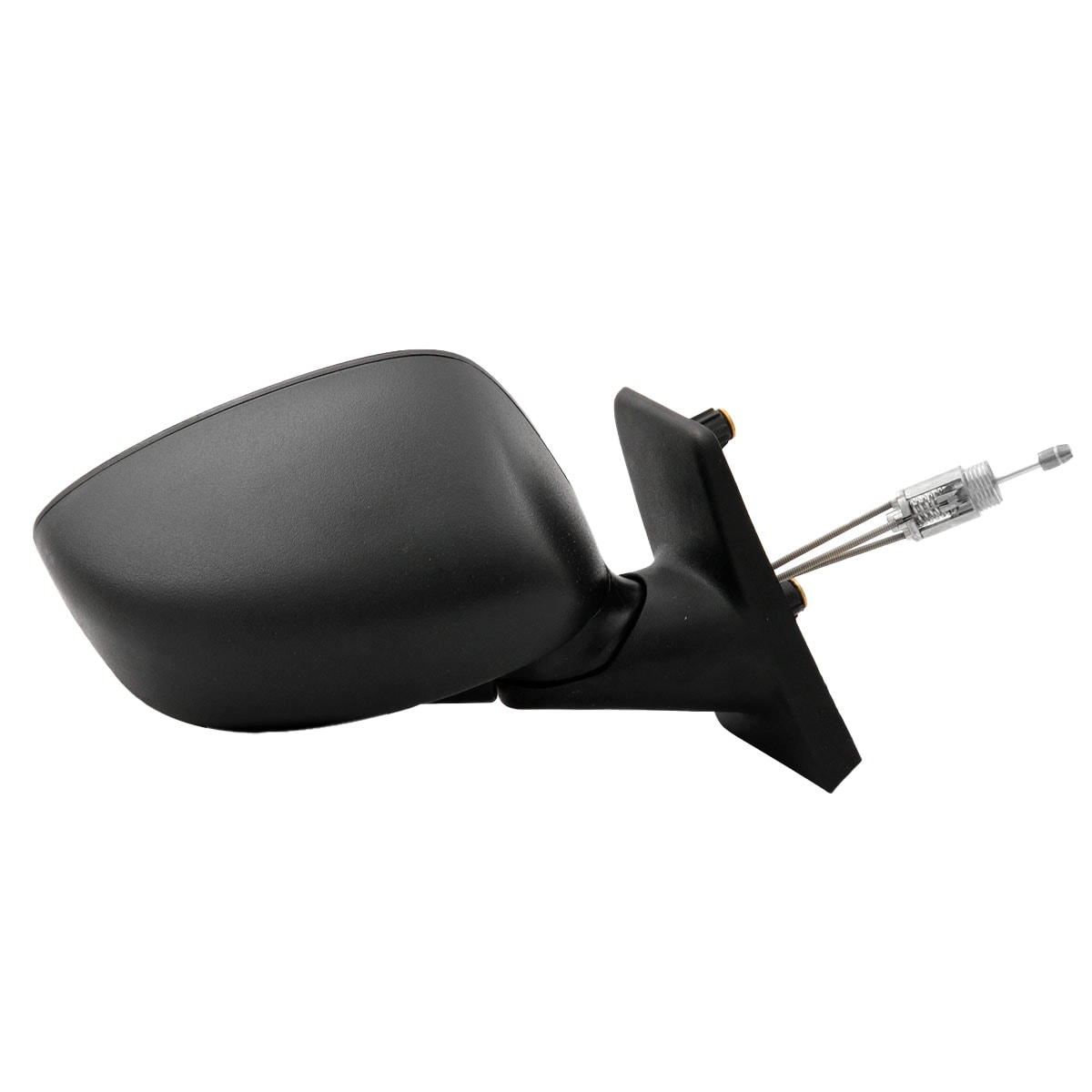 image_9f209edc-a4a5-4a67-9748-3bbfb51f9adc