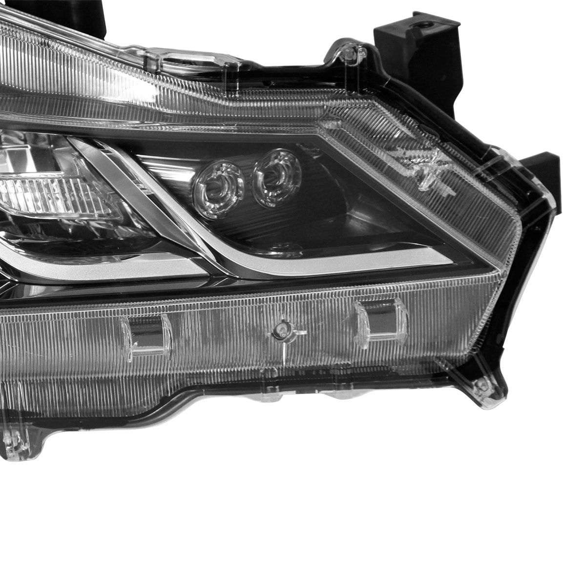 image_b2543346-a9b5-42be-a720-3811d3c1921a