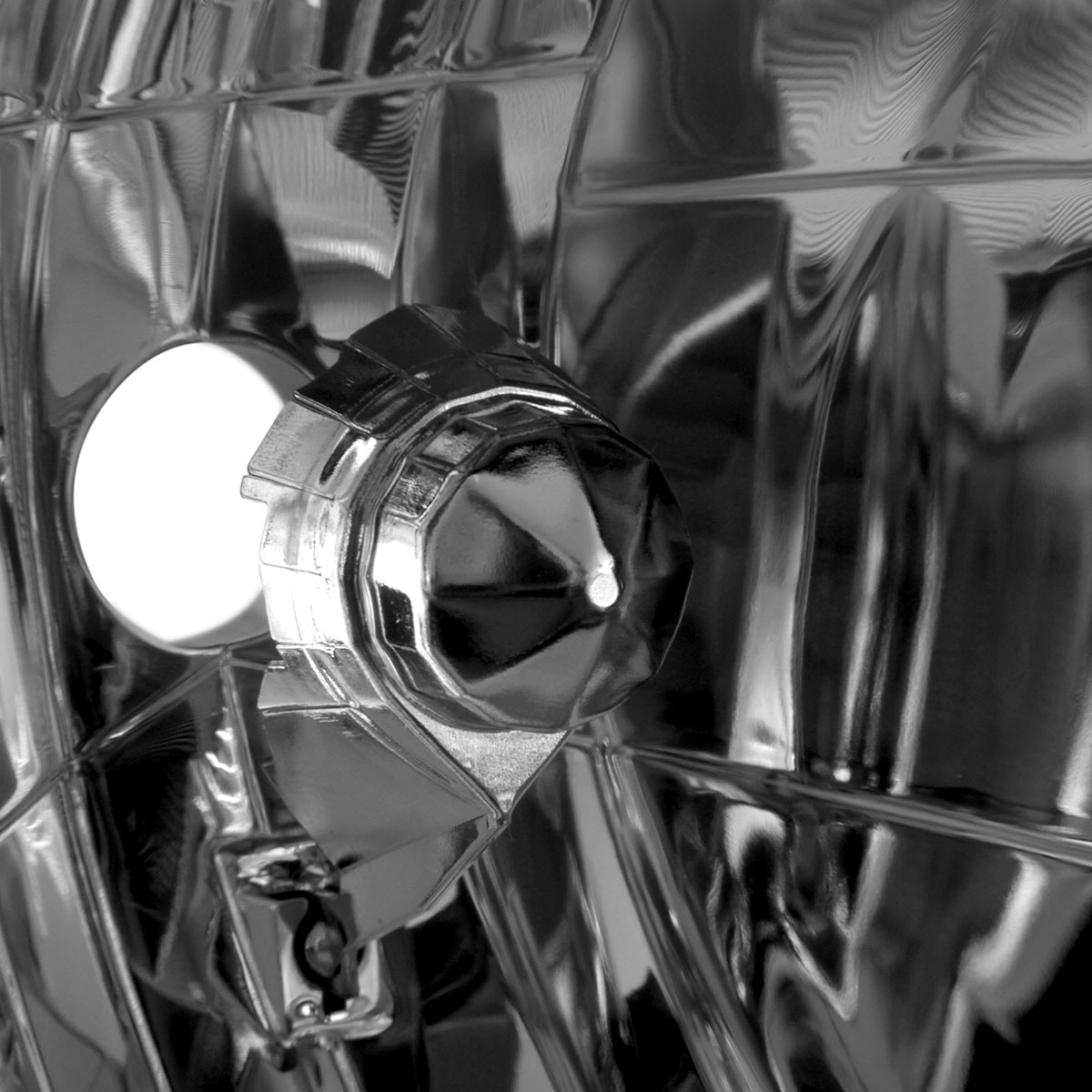 image_0335383f-1af2-41d9-9d7d-6e5e314a55e1