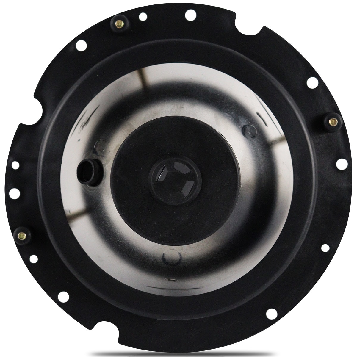 image_99cb1e0d-509d-434c-aefb-8264c0899bc3