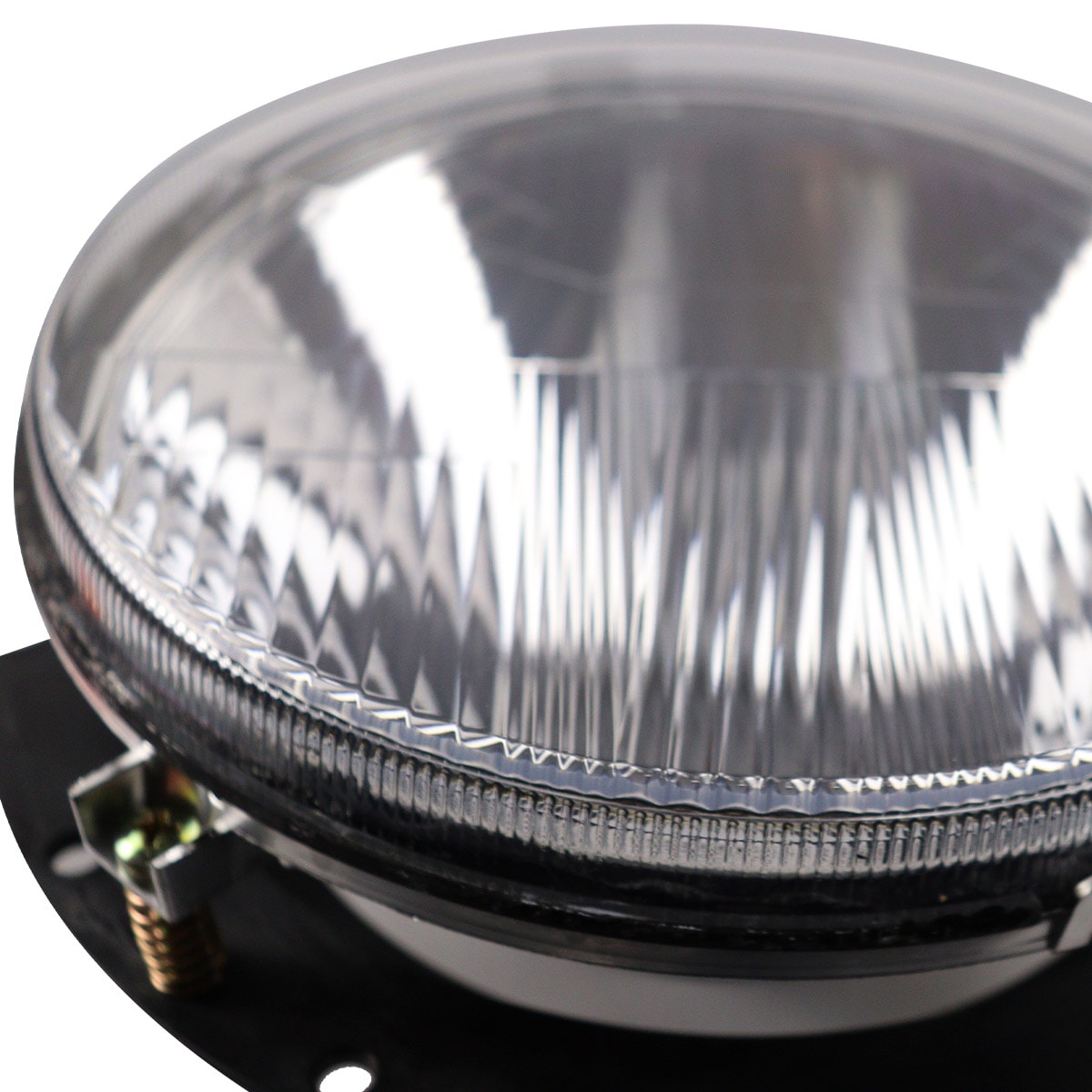 image_9f50844c-c640-483b-9e49-e272d550fe6b