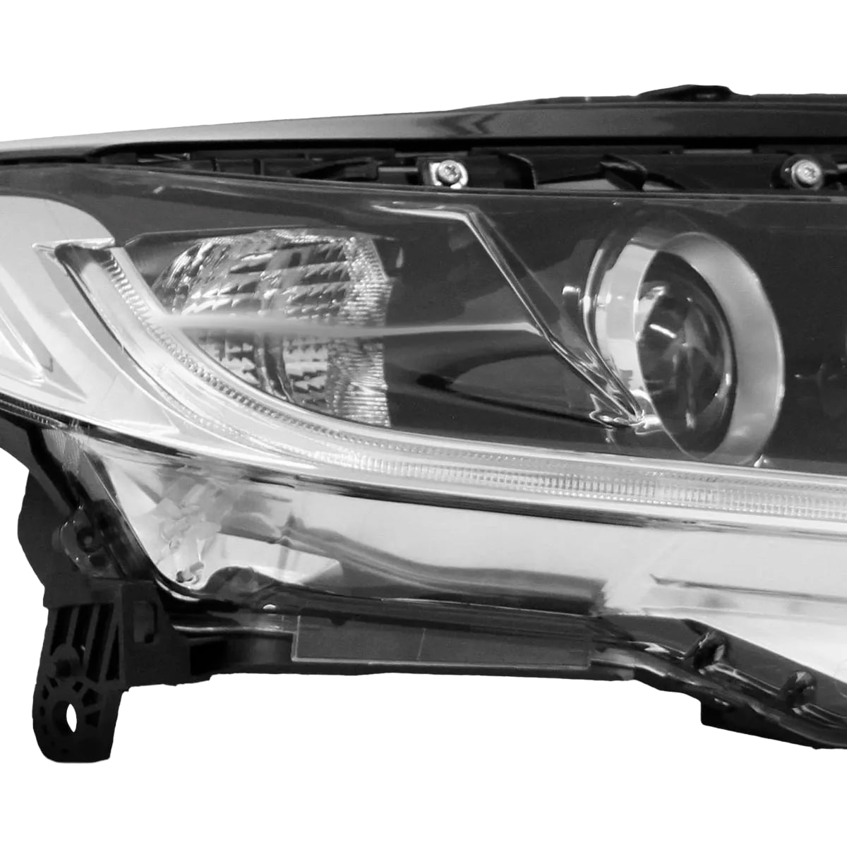 image_735f2dcd-2d18-4a7f-8035-7d985ea43a77