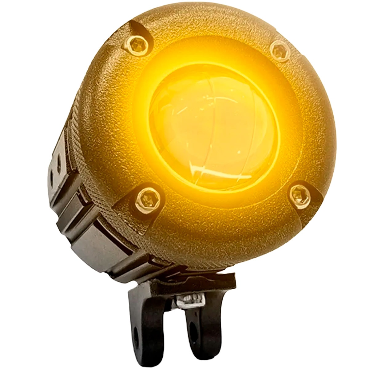 image_4d5aacc6-24fe-4445-a2f0-993f09d9637f