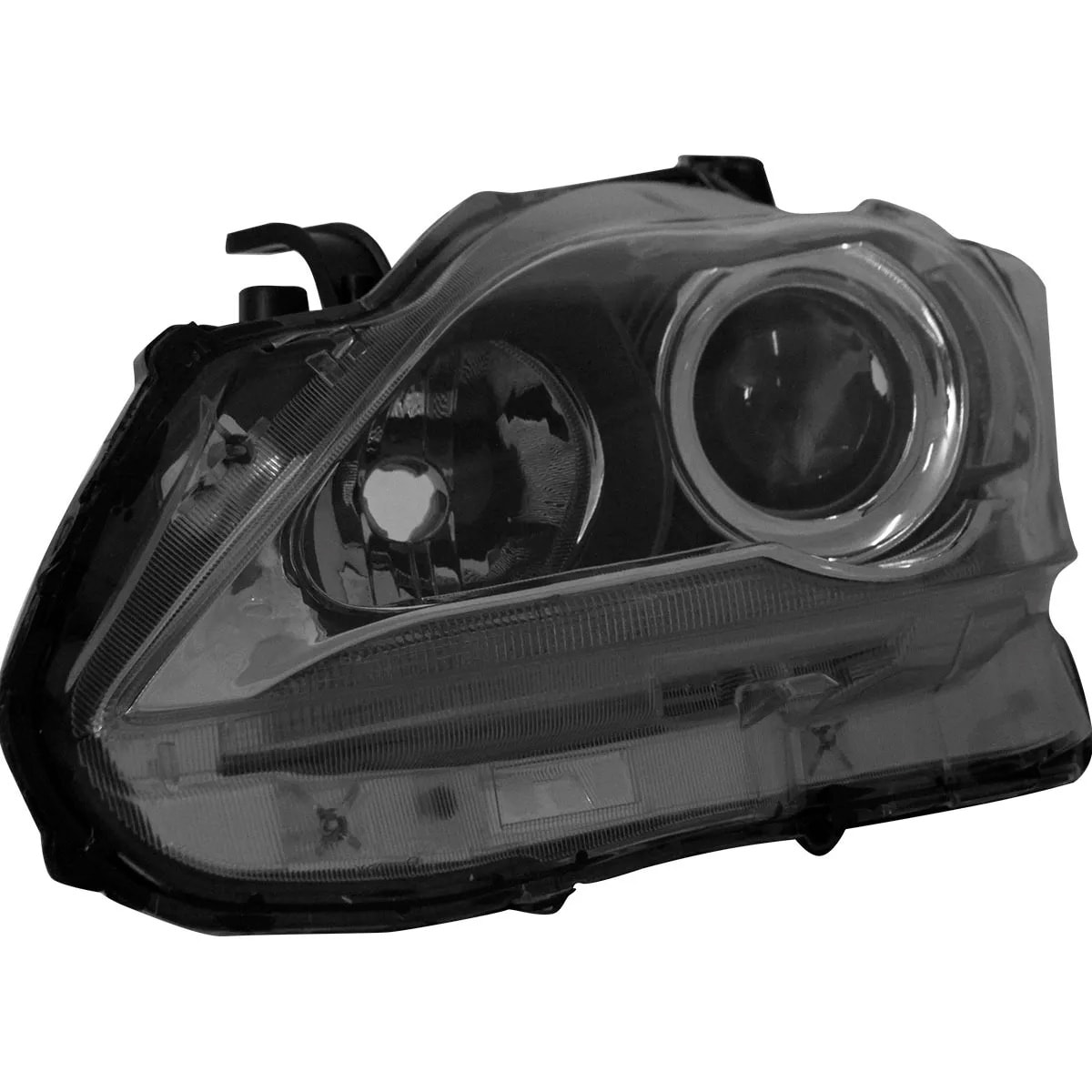 image_fadb42d5-4253-480a-a472-040fa1b6ec56