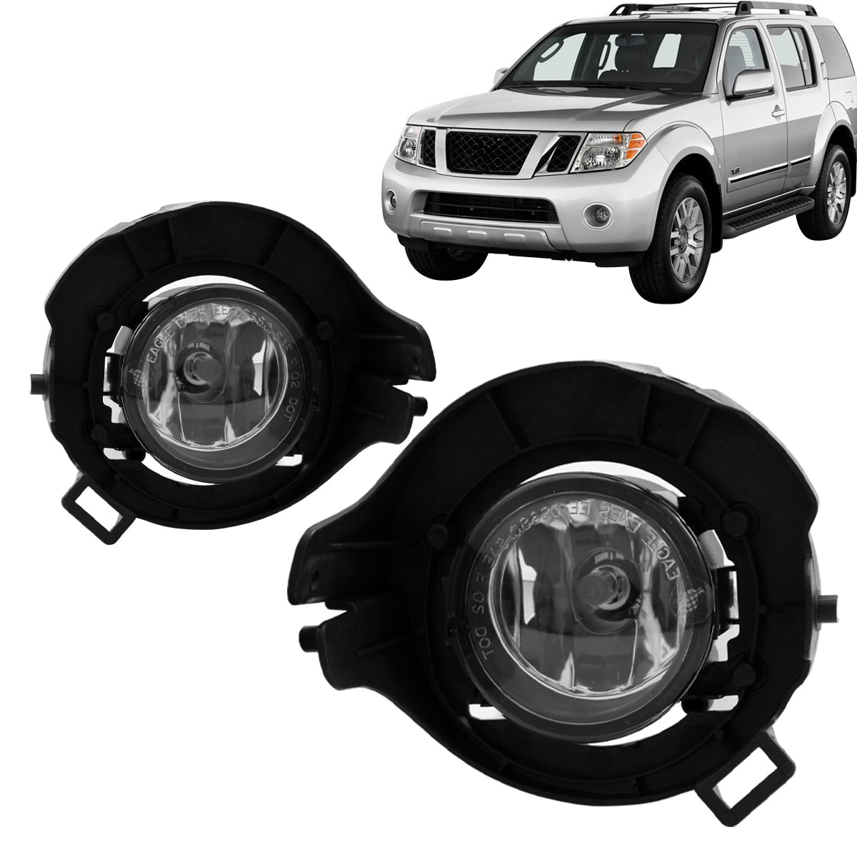 image_55f969d8-0a71-4e1f-be08-401fd7dd5b79