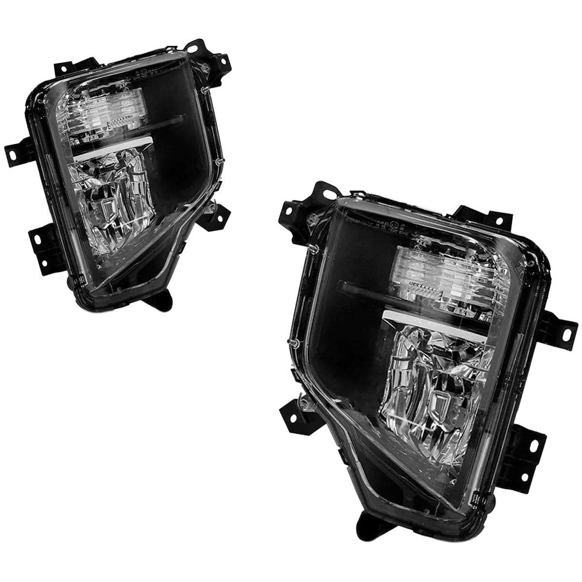 image_955e71d7-834d-42b4-8c98-464d1a98be2e