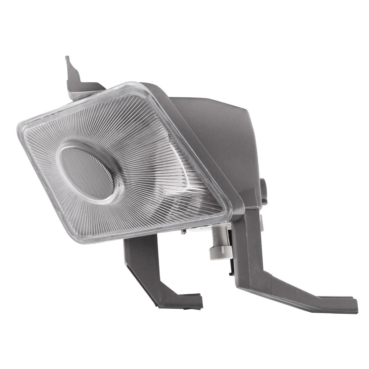 image_25581911-d042-48df-8ce6-f7dd8091942f