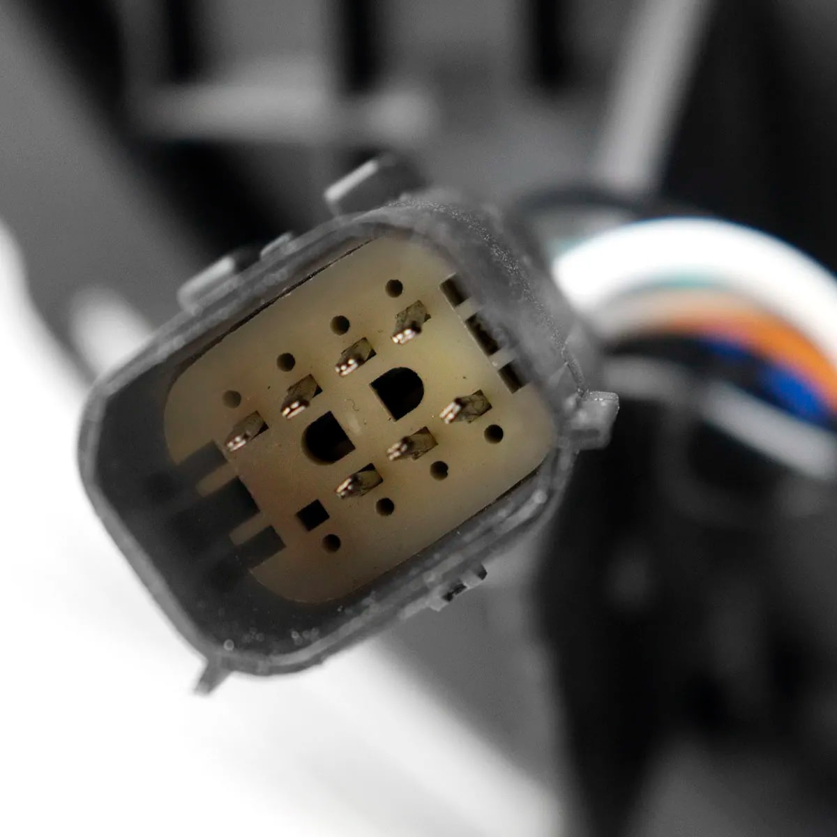 image_e8c8a35a-7dbf-4eb7-b4e4-b139b2ba4d39