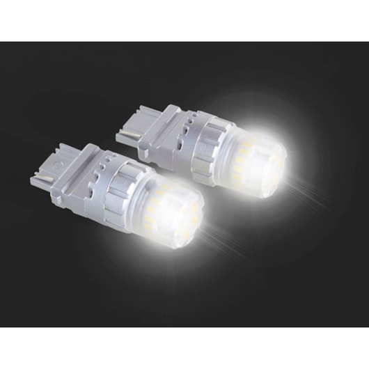 image_07966589-b30c-43e7-884d-c8d7035ff37b