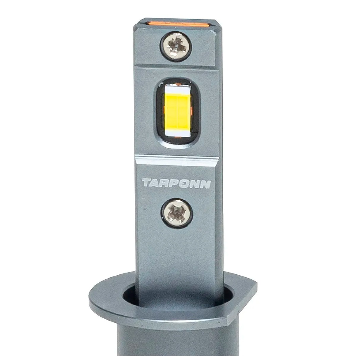 image_410796cd-e7fc-4cc0-8cc1-81696d233c97