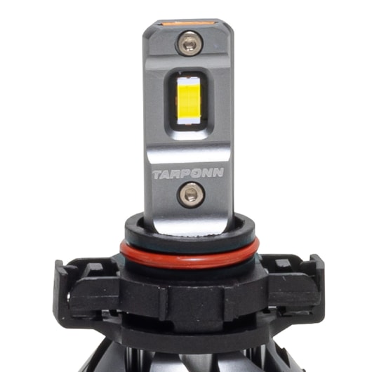 image_68cff646-9c8b-4fb0-998a-fc2ff74b742d