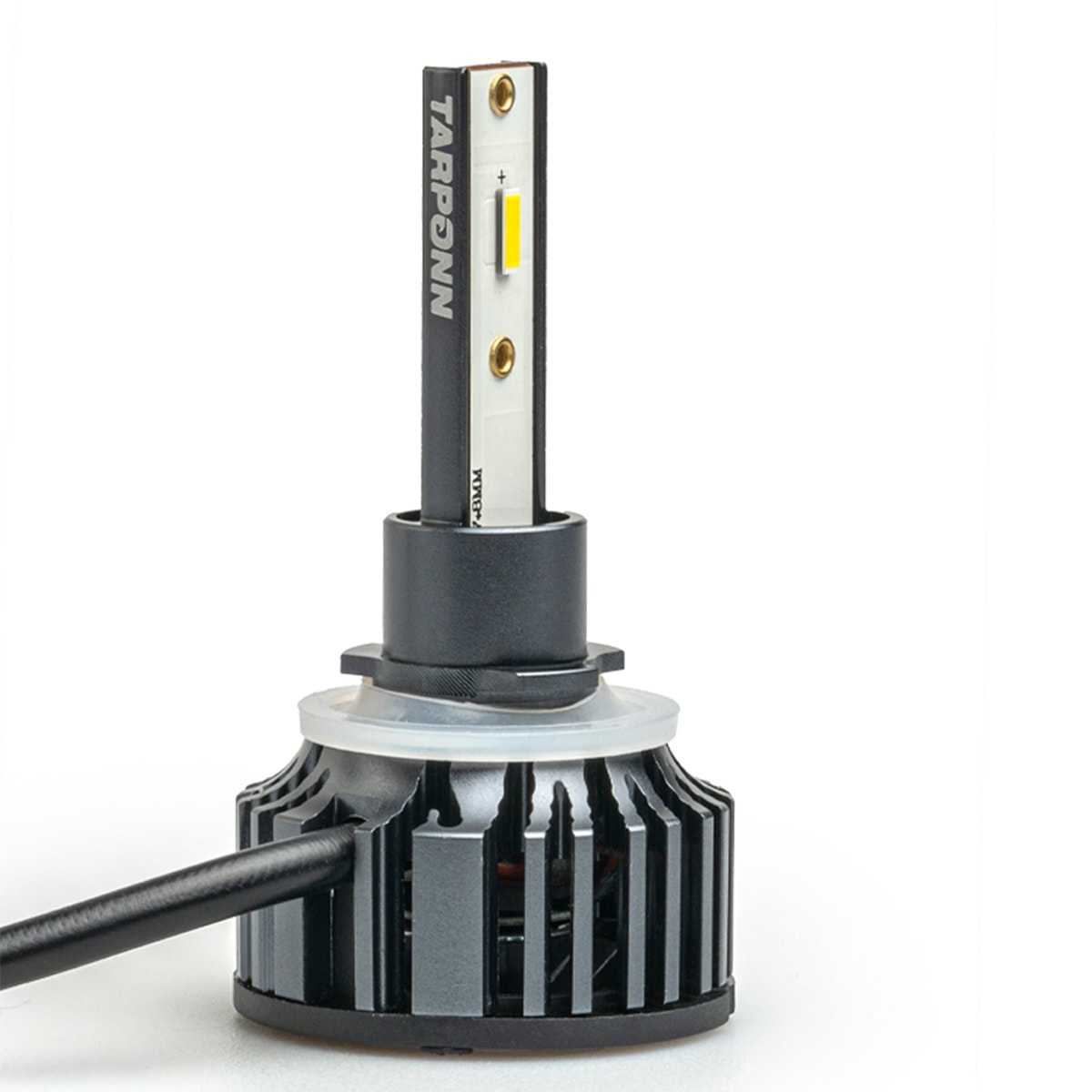 image_704a3caf-4a3c-4910-98de-8546c038f402