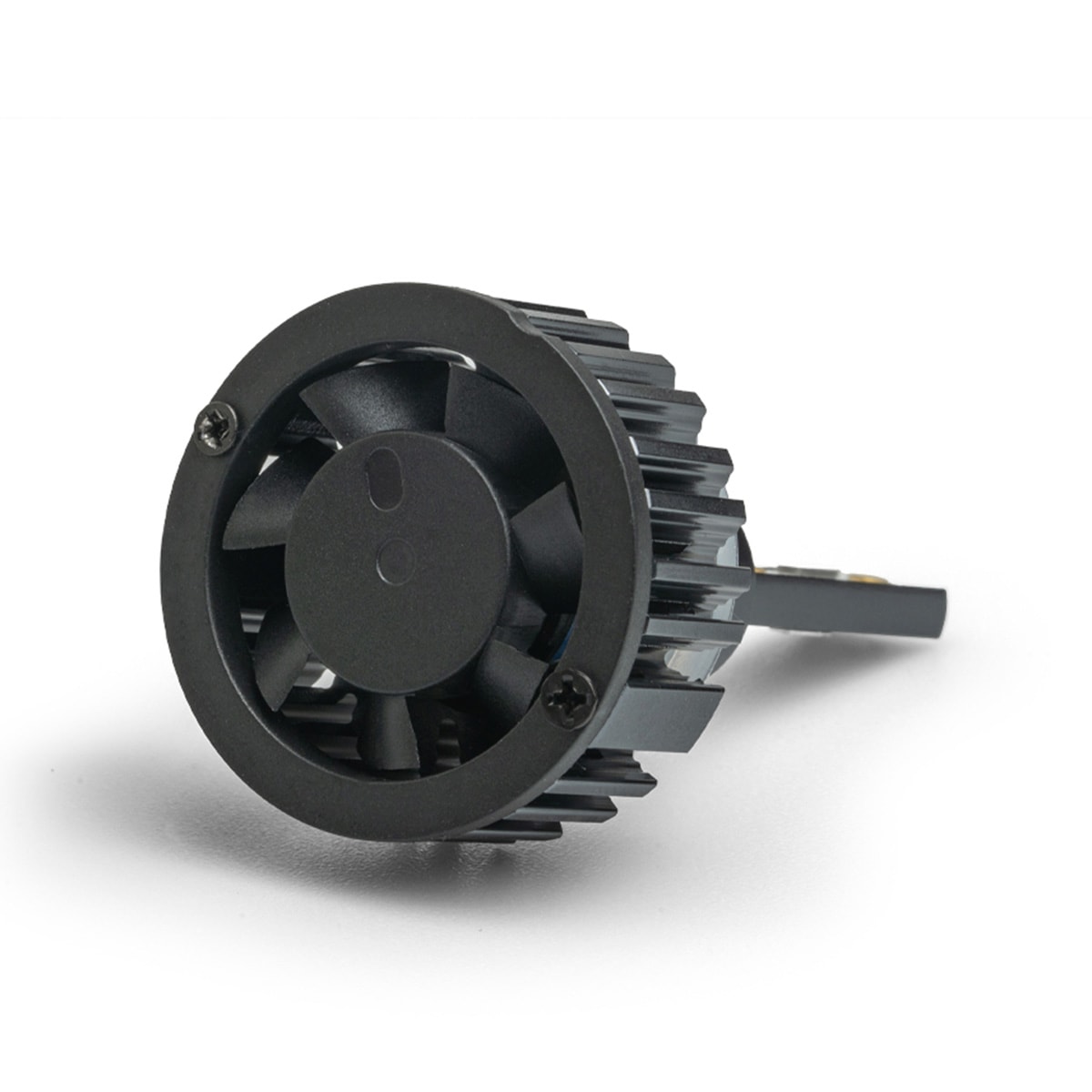 image_891e50a9-111a-4285-a800-b53751eae2e8