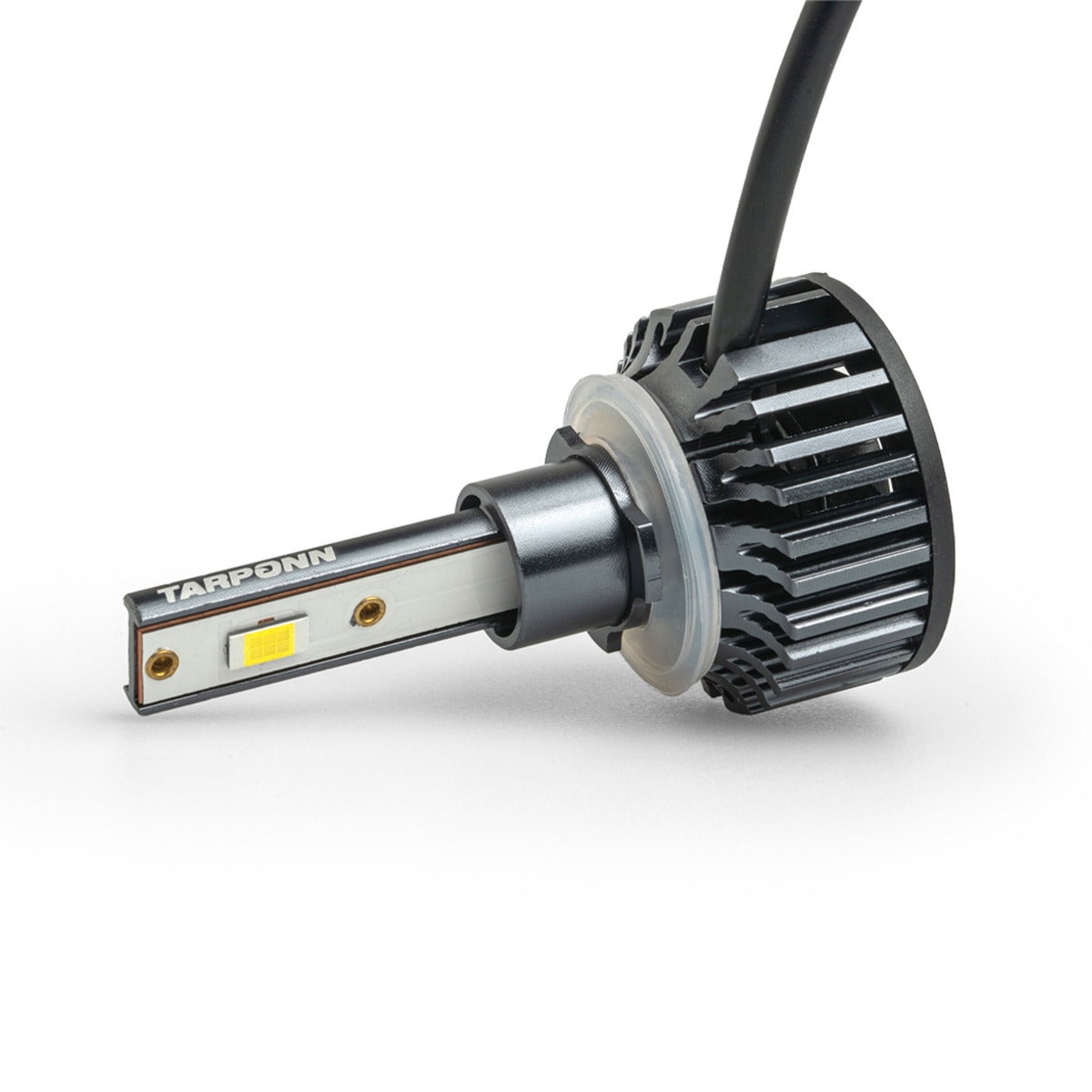 image_f61c5446-8b92-4f39-a900-1e41b5dfd1c3