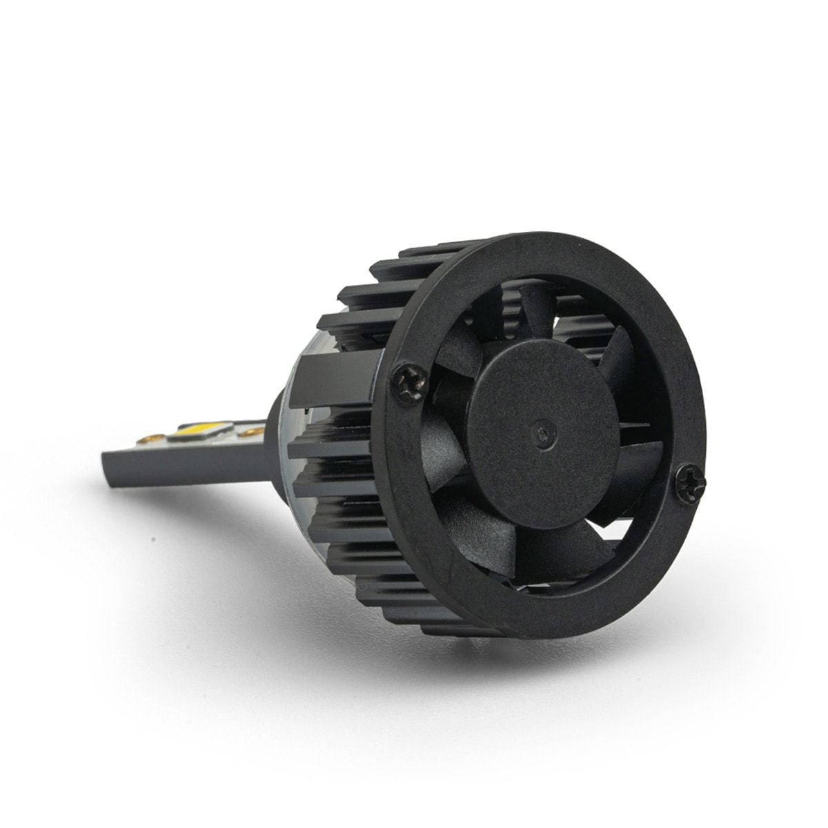 image_ea00532d-97a2-4995-aea1-4d852cbfc29a