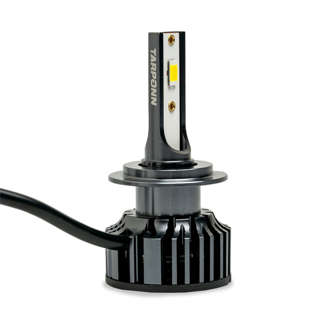 image_03b04898-7663-4272-a6e3-840a910ea738