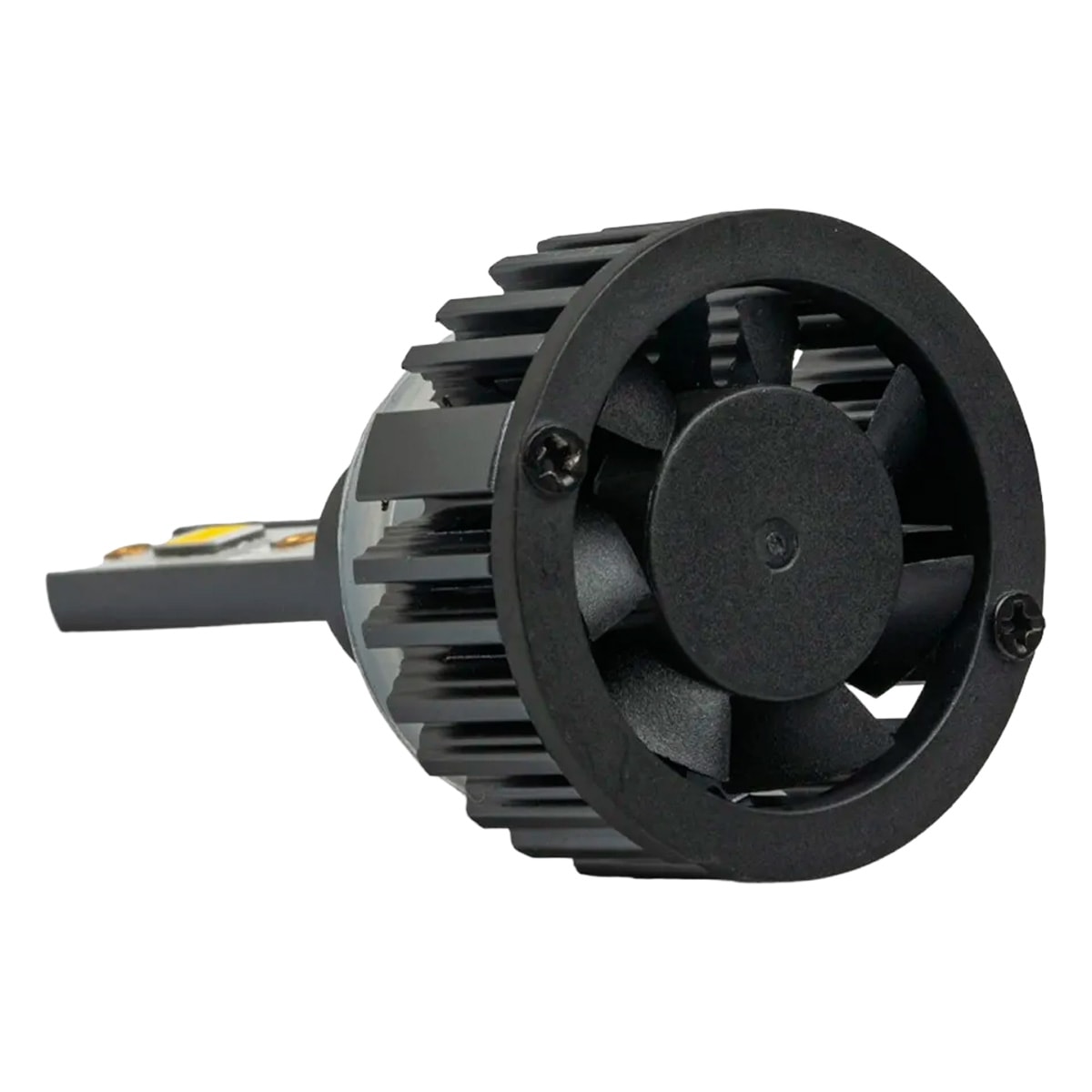 image_0d151280-2ffc-4df6-9284-ffb59b5c76f8