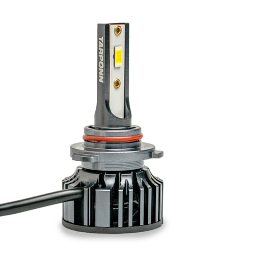 image_35006ad0-a019-4c8c-b4b8-f4c06f3aedce