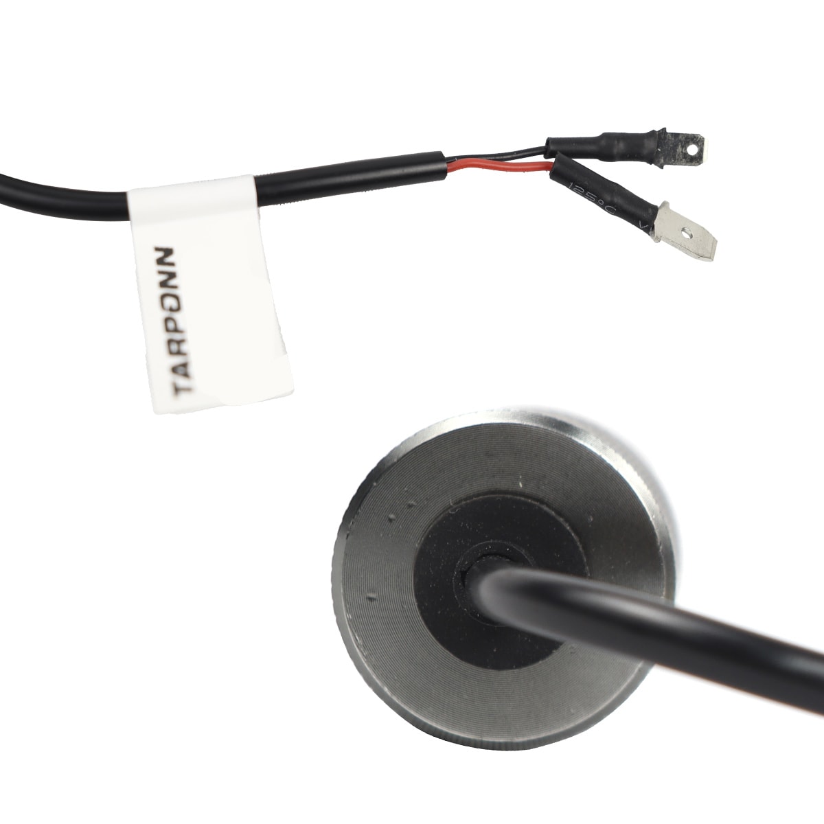 image_86882e99-9b32-495e-bf70-1c452c282e5a