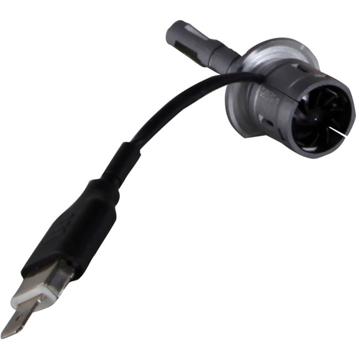 image_369795b3-a007-44d8-83a0-9b3f1511690a