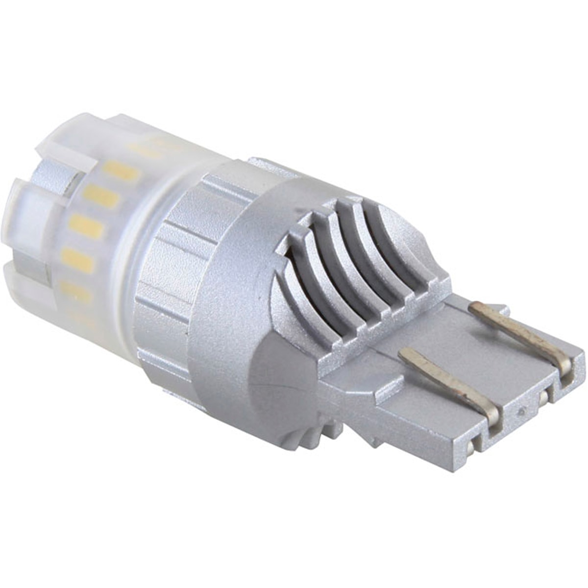 image_f0824b26-a1f8-41bd-9851-4763cbcb7bc4