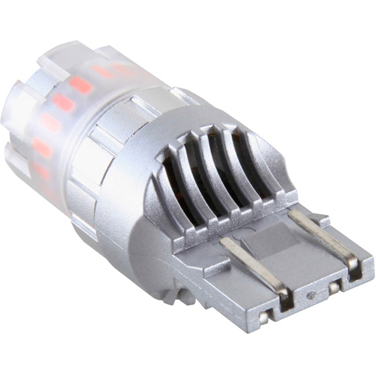 image_d054edad-b906-4045-a635-c4f69aad1820