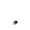 image_841c71f8-1ca6-4e4b-a084-5ad1f7397983