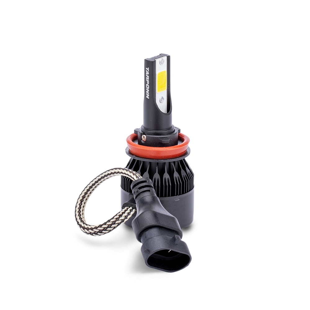 image_4c004d7d-1de5-4c68-a061-e580fe6d0023