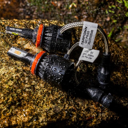 image_876d87df-859e-4d47-9c7c-ccf157056738