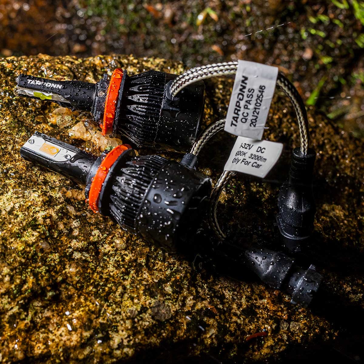 image_4bf3d0da-4c15-4c1a-b47f-556b44b6ba58