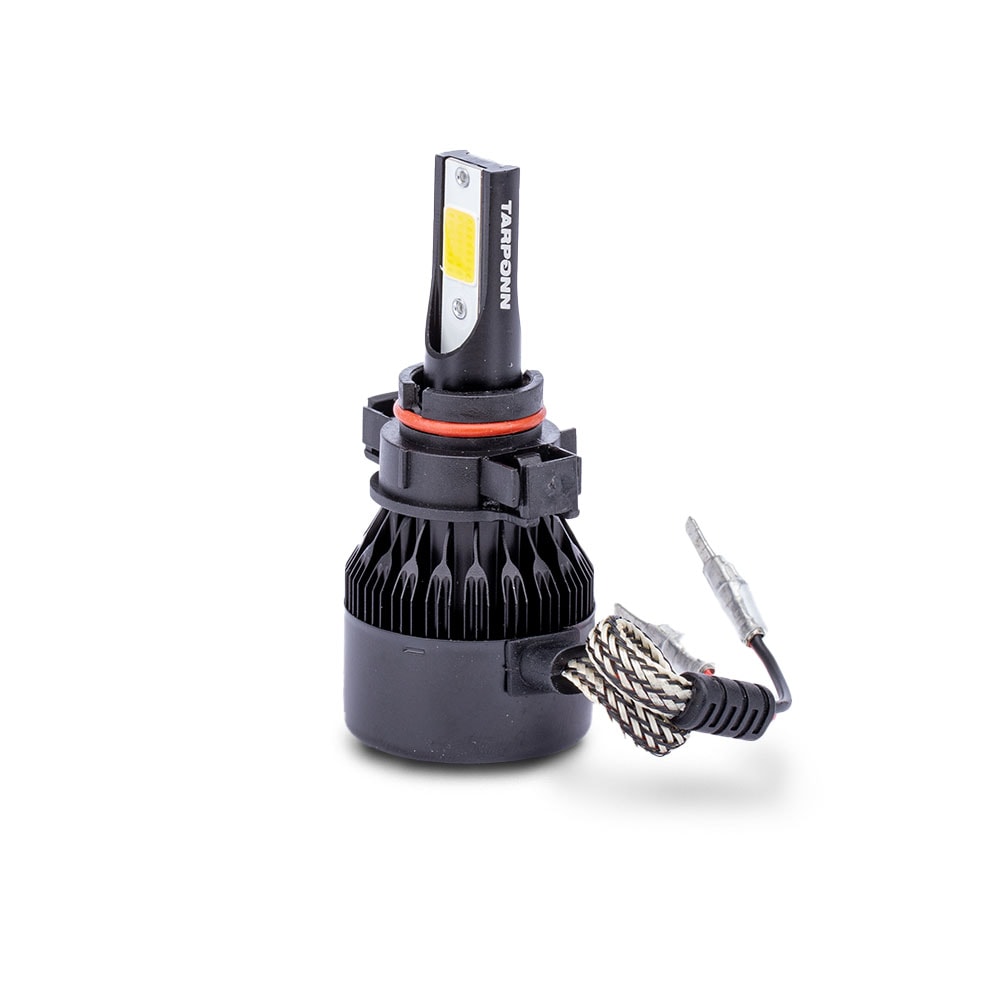 image_5ef47ae4-6882-4300-926b-2ab1f7cfe6c2