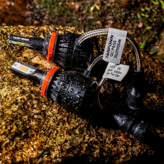 image_89afb42c-e0af-4c12-b007-490712a11289