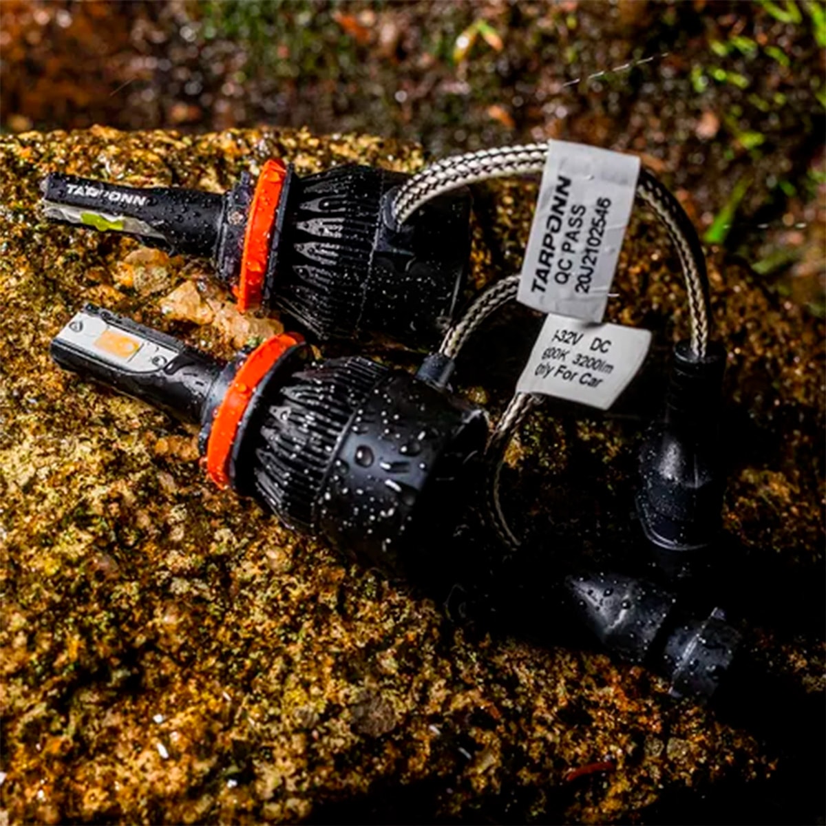 image_fa84b5cd-bcf9-4b37-9726-fc2b4e0bc347