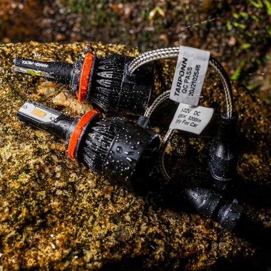 image_459dc892-1396-49c7-88cb-90f762add4a5