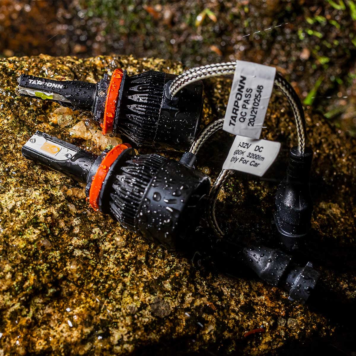 image_f7b2a4fc-3973-49f4-ac0c-e3f0c18c3f96