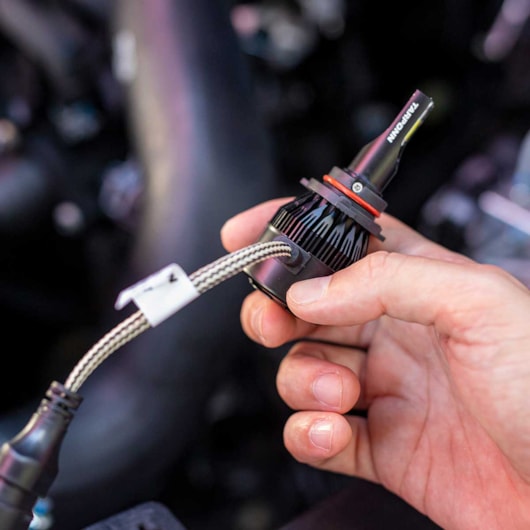 image_1d08c688-685d-4823-85cd-695982535691