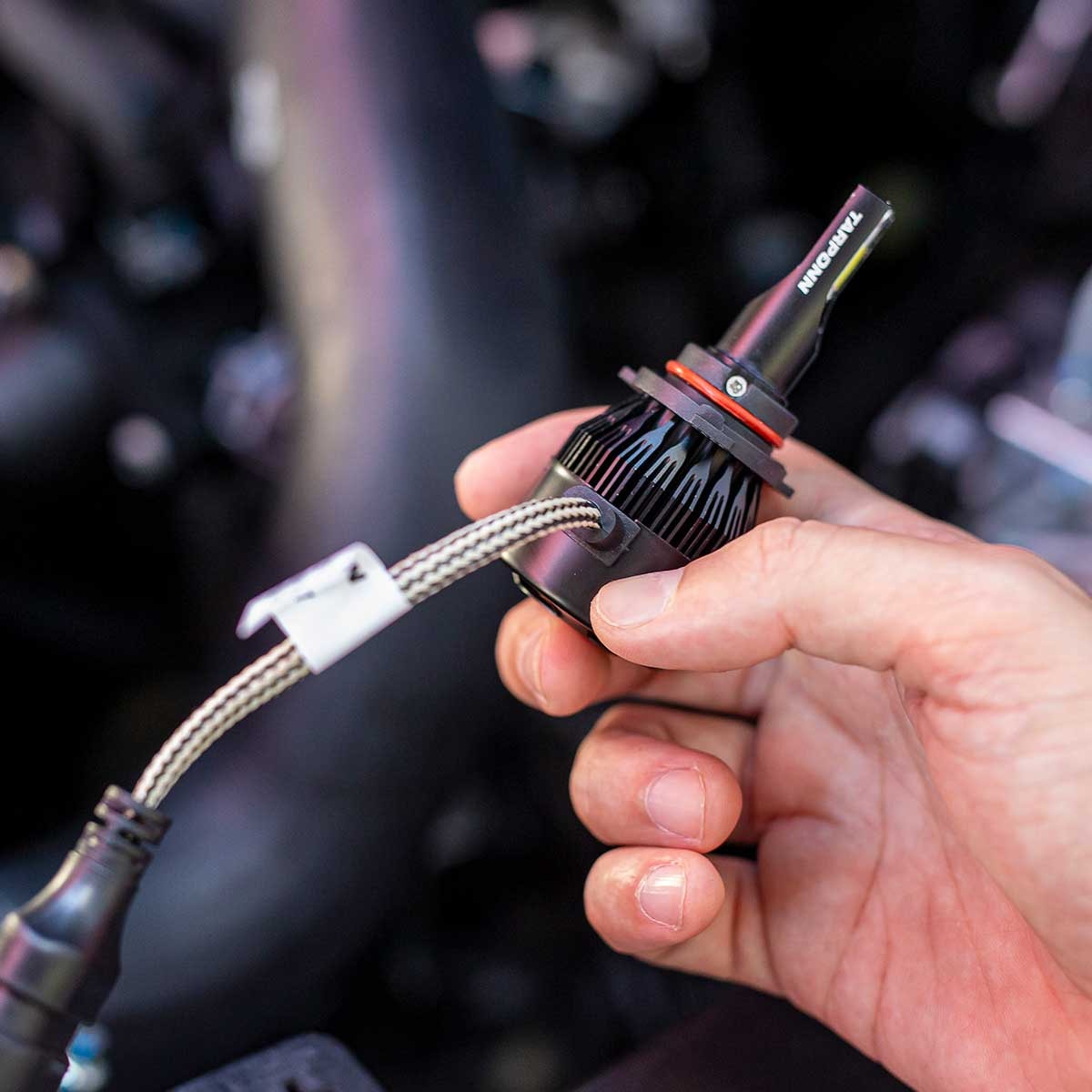 image_dff4da06-c9bd-4ac4-9539-b20e44a4c664