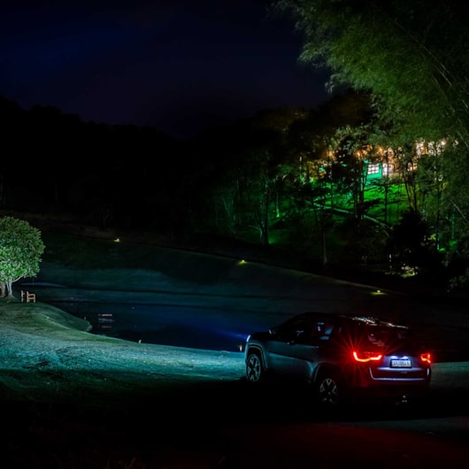 image_41b03905-5a65-4f8f-a90c-fe4c35d76ed4